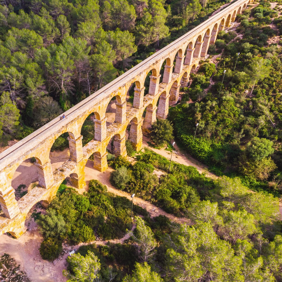 El Imperio Romano y la deforestación masiva: la huella ecológica de la Antigüedad