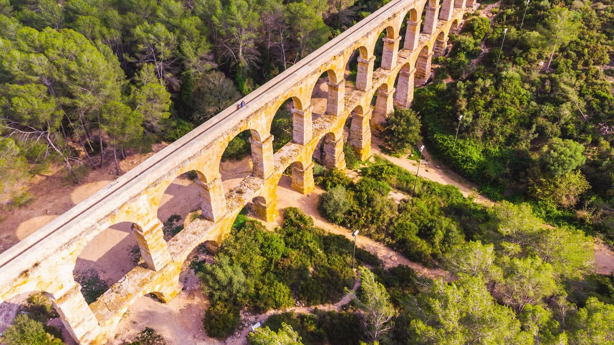 El Imperio Romano y la deforestación masiva: la huella ecológica de la Antigüedad
