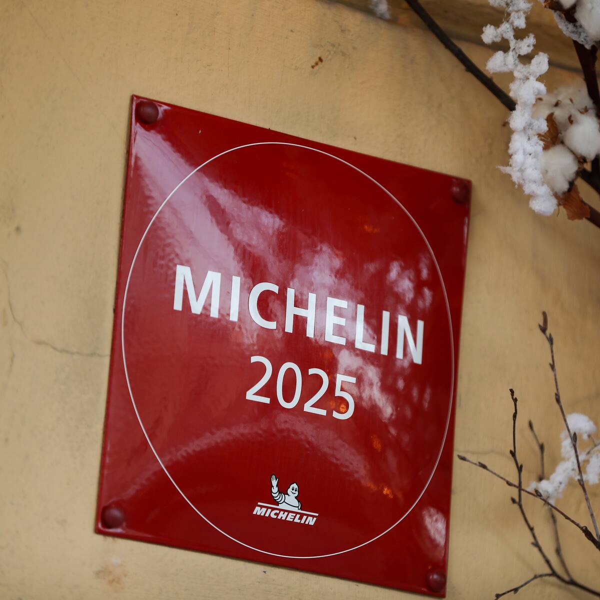 El restaurante con estrella Michelín en el que puedes comer por menos de 50 euros: dónde está y qué incluye