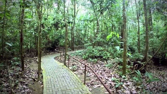 Parque Nacional Soberanía