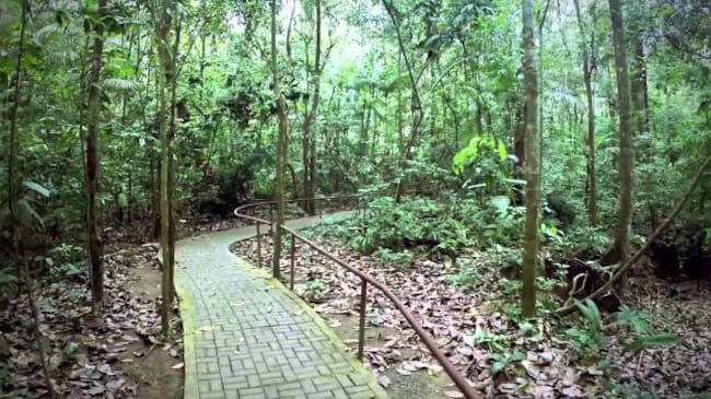 Parque Nacional Soberanía