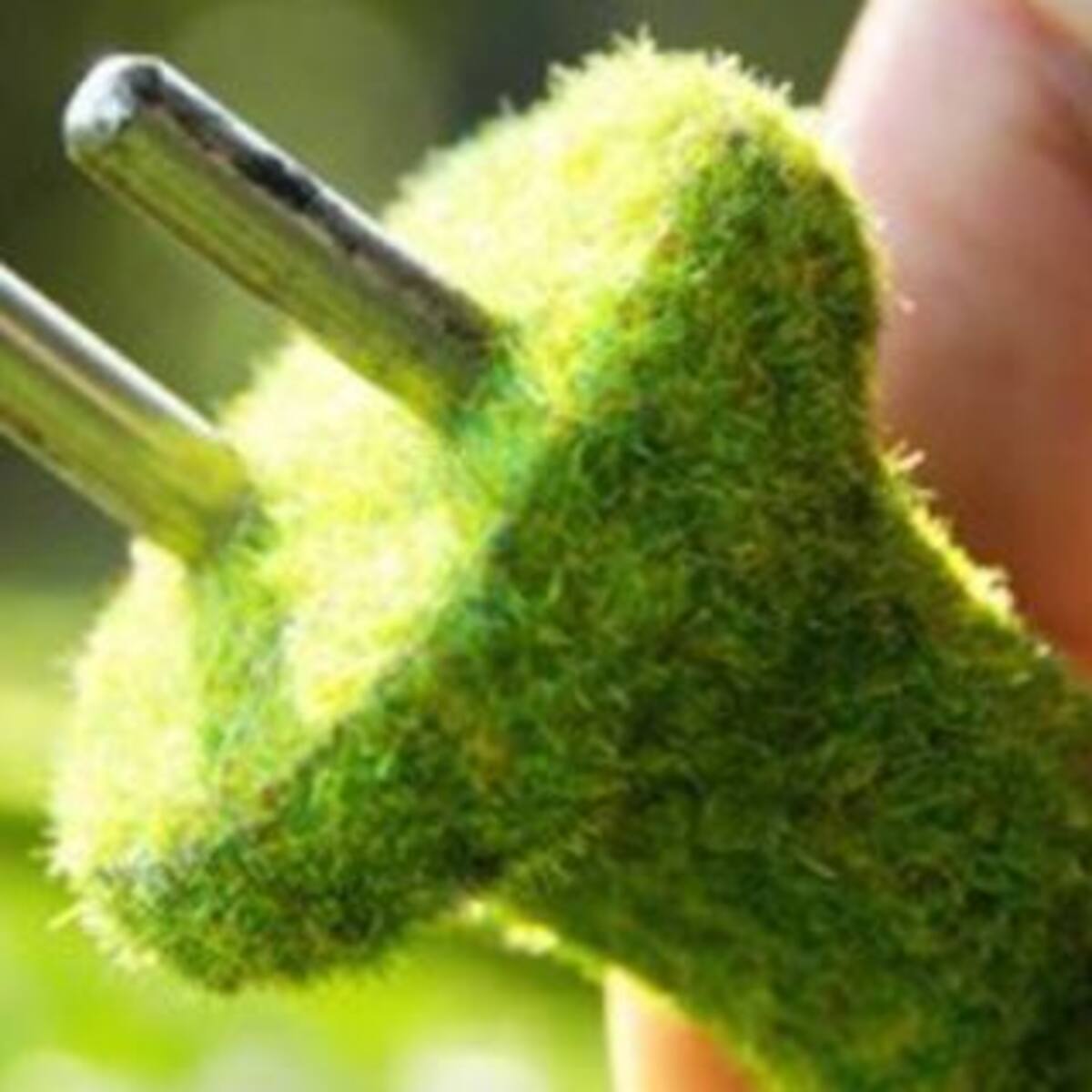 ¿Vas a poder cargar tu celu con una planta?