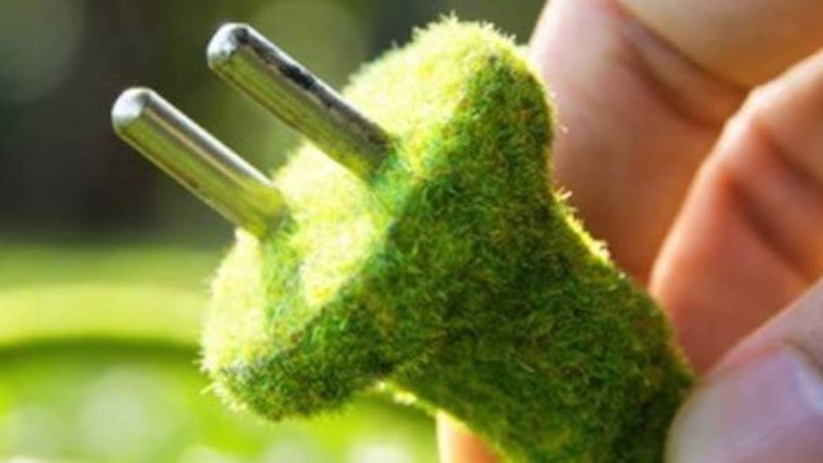 ¿Vas a poder cargar tu celu con una planta?