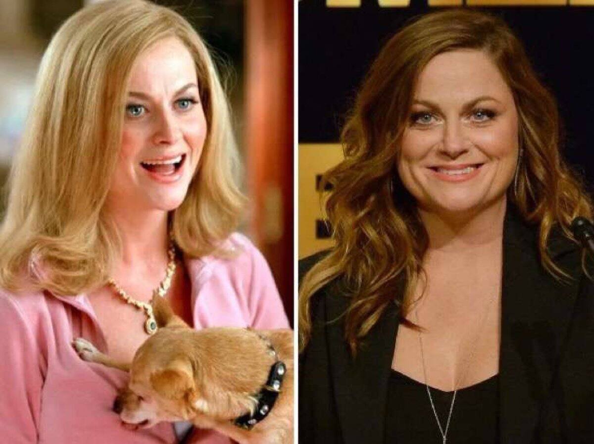 Sra. George- Amy Poehler