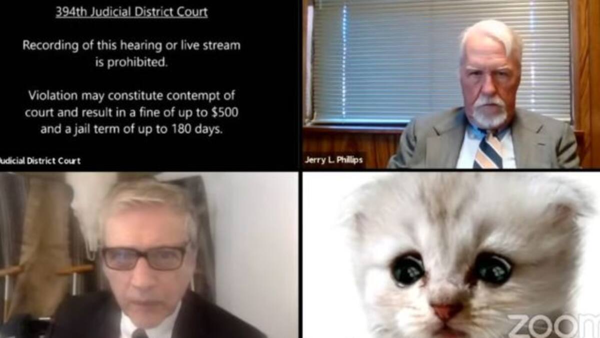 “No soy un gato”: Abogado usa filtro de gato en audiencia y se hace viral