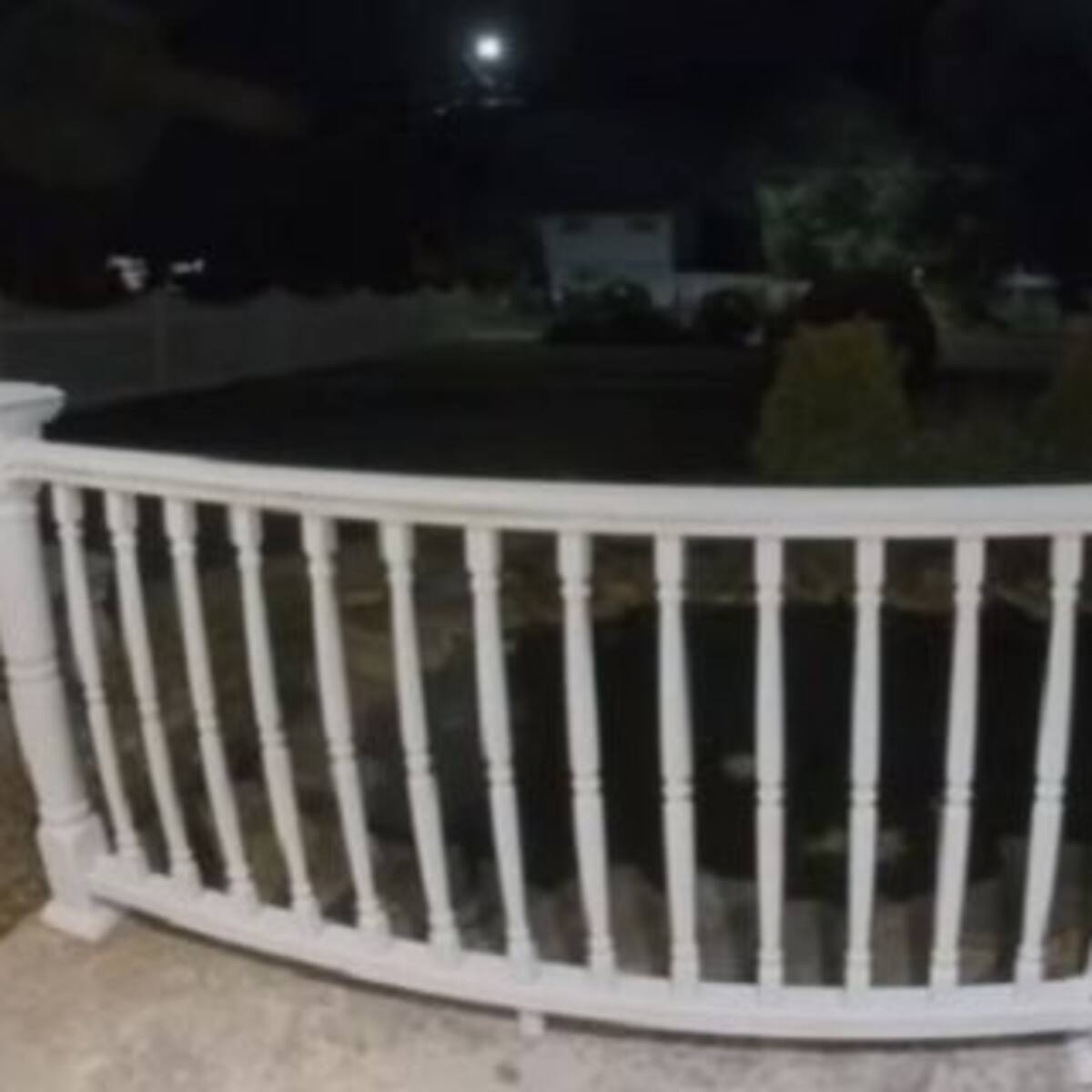¿Es un fantasma? El viral que asusta a todos los usuarios en Internet