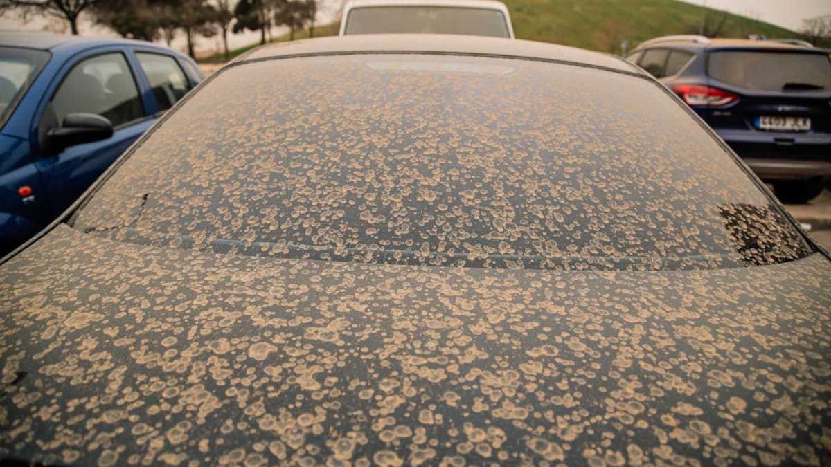 El polvo del Sáhara que respiras en Madrid, Barcelona o Bilbao: un viajero silencioso desde África