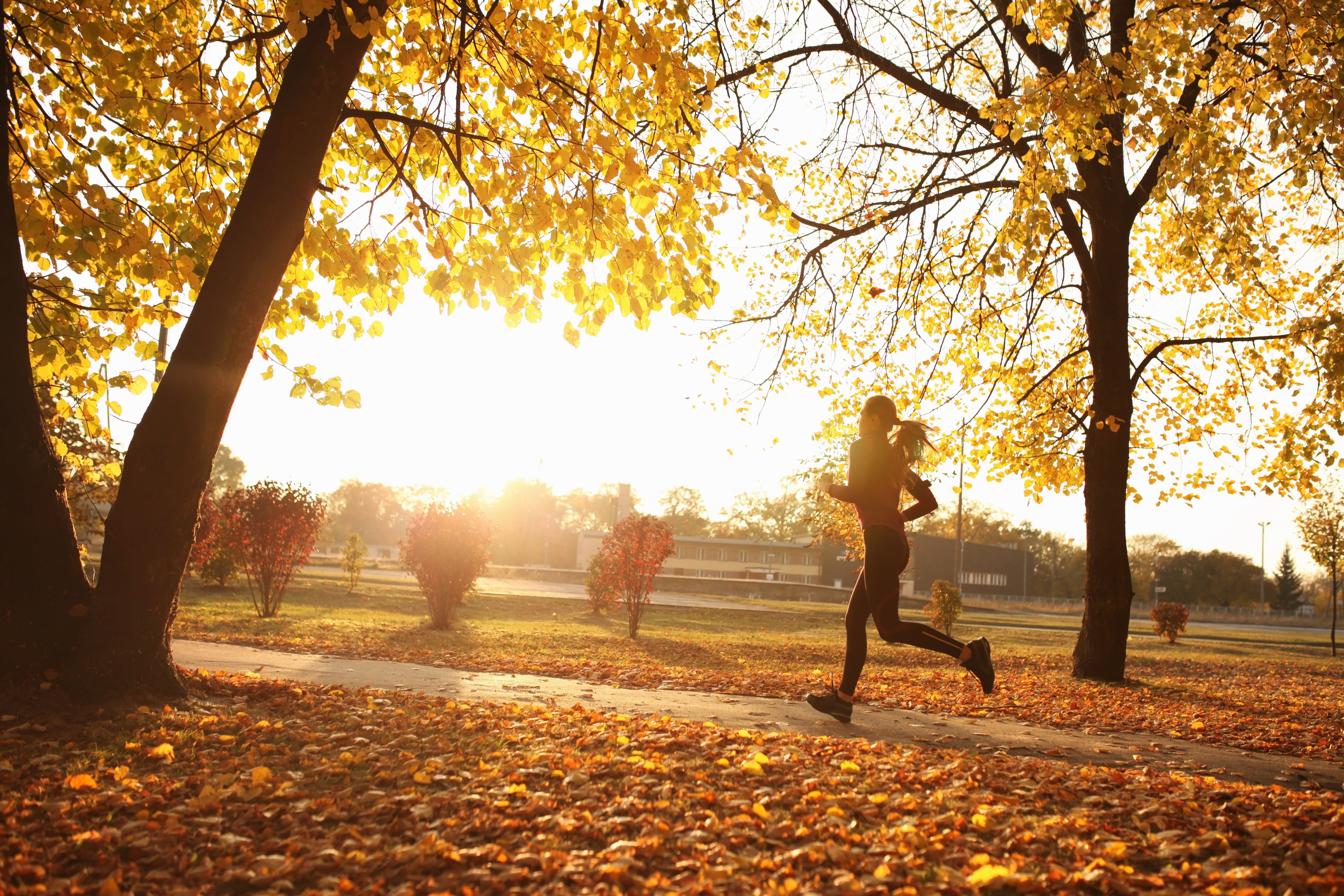 Mujer joven corriendo al aire libre en otoño. Getty.