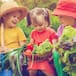 El nuevo producto de Lidl que es para niños pero que arrasa entre adultos