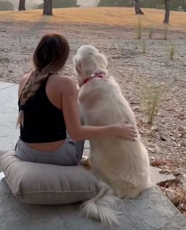 La dueña del perro decidió sentarse junto a él a ver la puesta del sol