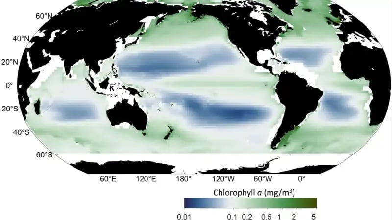 Mapa de la concentración de clorofila (Duke University).