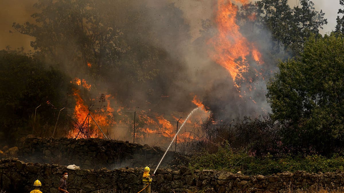 Ante los incendios forestales, solidaridad, rigor y ciencia