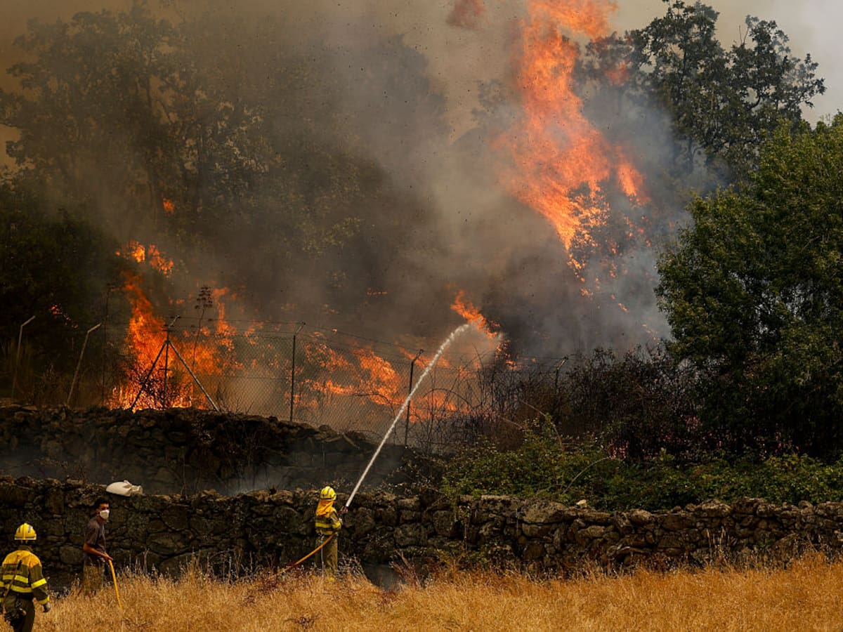 Ante los incendios forestales, solidaridad, rigor y ciencia