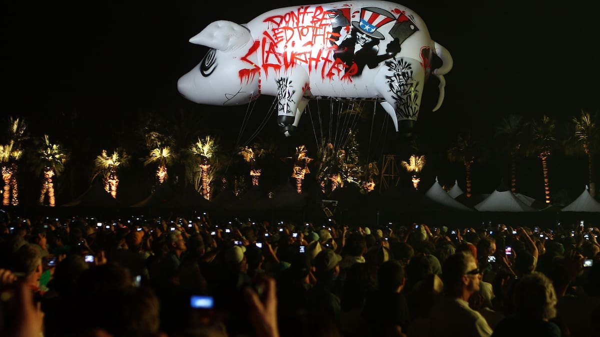 Coachella y el misterioso cerdo inflable que terminó en una recompensa de 10.000 dólares