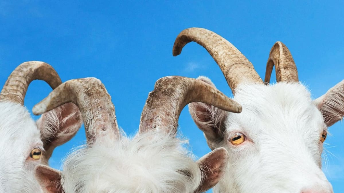 ‘Goat Simulator 3 se estrenará en otoño con multijugador para 4 gamer-cabras
