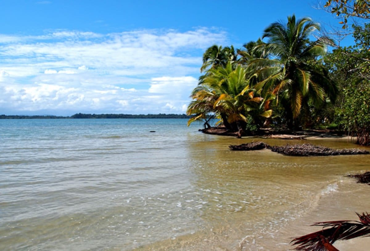 Bocas del Toro es un archipiélago paradisiaco ubicado en la costa caribeña de Panamá y pegado a la frontera con Costa Rica. También es el nombre del pueblo principal del archipiélago, ubicado en Isla Colon. Ahí encontrara todo lo que necesitan: supermercados, hoteles, restaurantes, bares, artesanía, excursiones