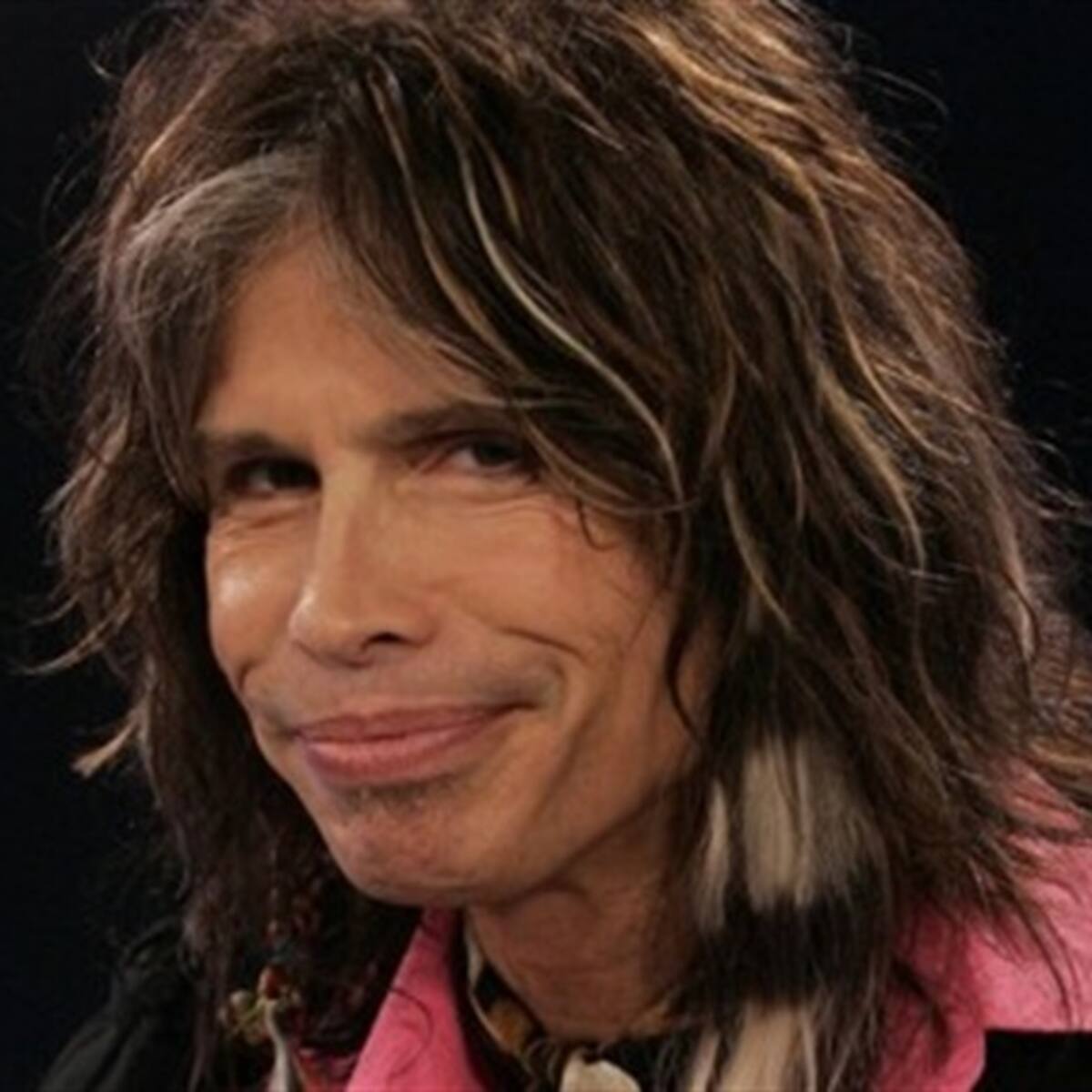El palo de Steven Tyler