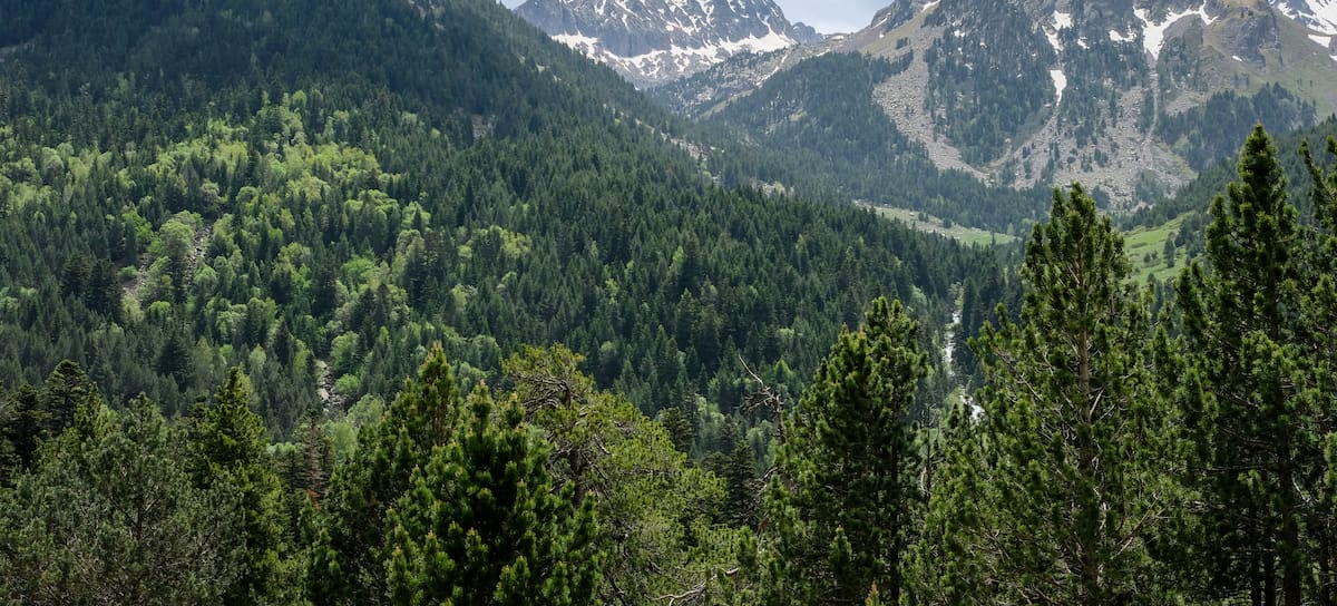 El Parque Nacional de Aigüestortes.