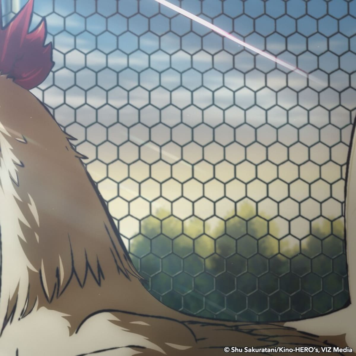 'Rooster fighter': a qué hora y dónde ver los nuevos capítulos de la serie de anime en España