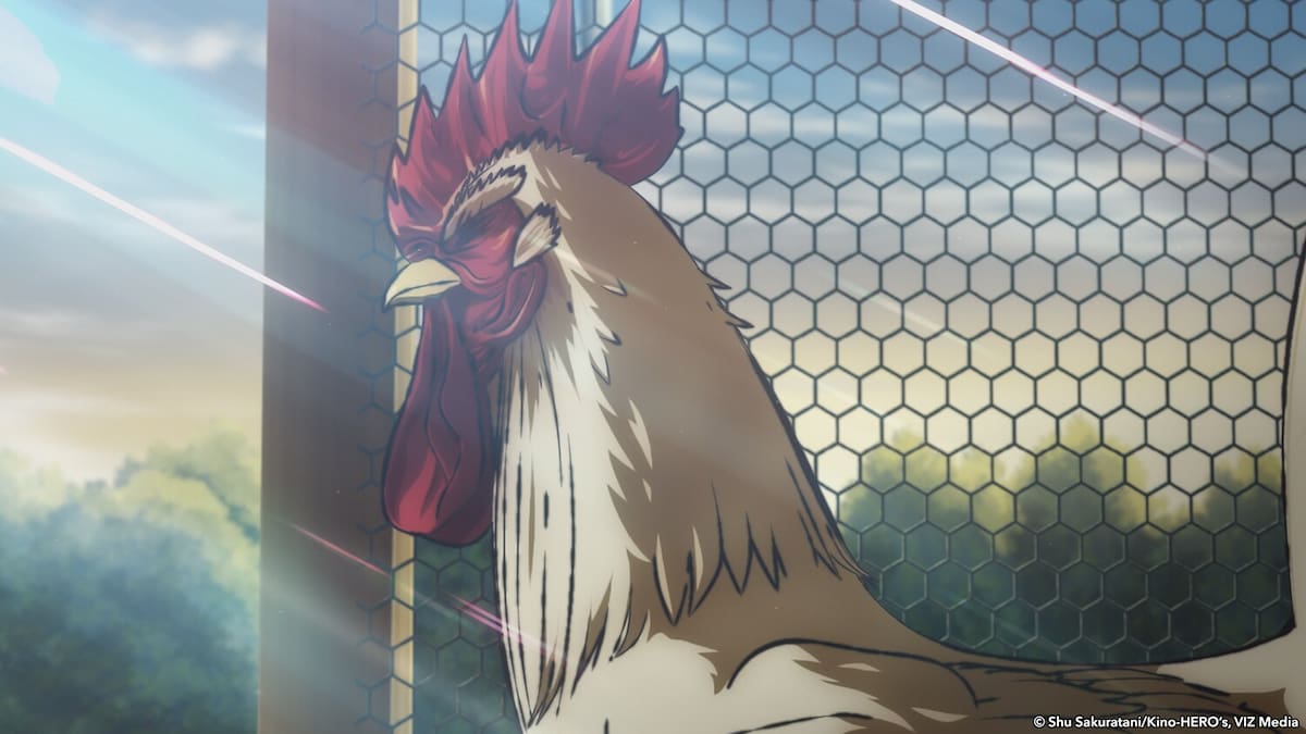'Rooster fighter': a qué hora y dónde ver los nuevos capítulos de la serie de anime en España