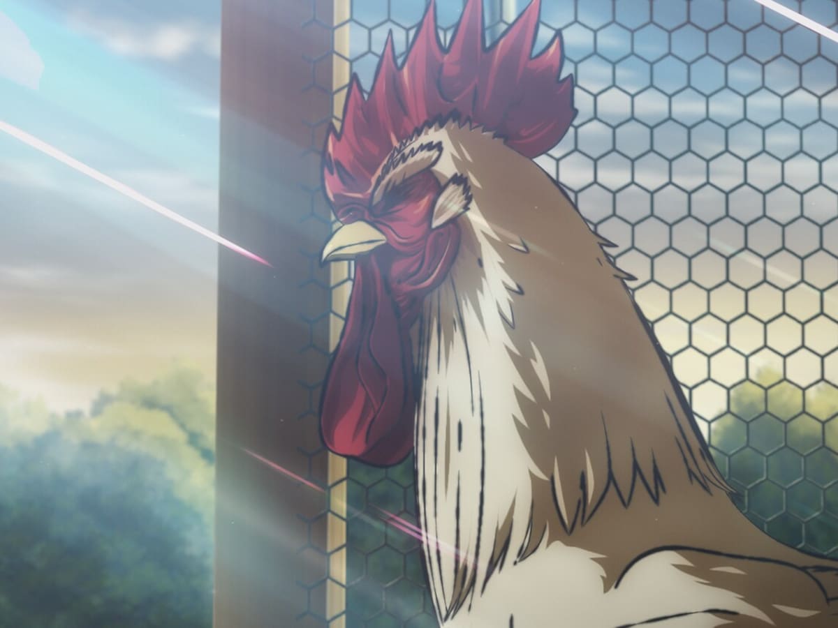 'Rooster fighter': a qué hora y dónde ver los nuevos capítulos de la serie de anime en España