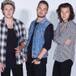 One Direction se desarma por un tiempo