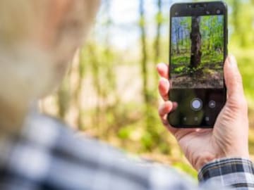 10 apps imprescindibles para los amantes de la naturaleza