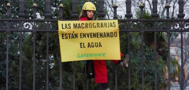 Foto: Greenpeace.