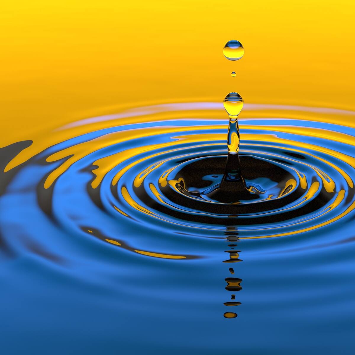 Todo lo que ocurre en una gota de agua