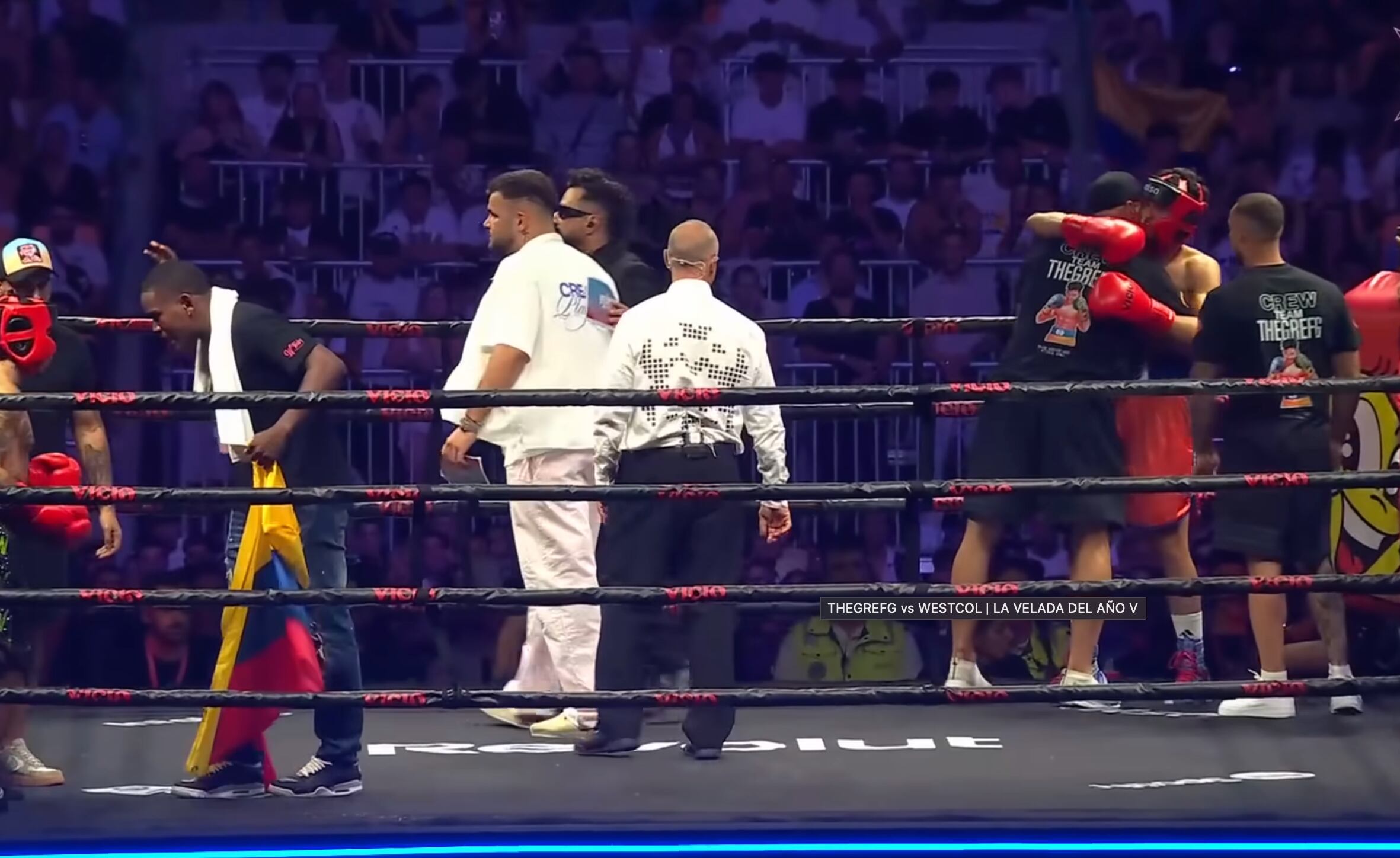 El árbitro de La Velada V de Ibai llevaba en la espalda el Glyph Matrix de Nothing.