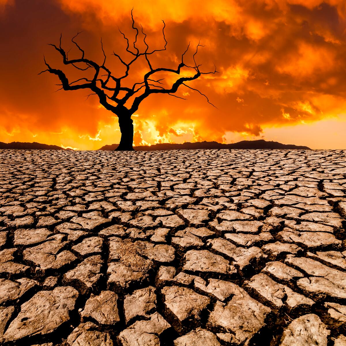 ¿Por qué aún hay quien niega el cambio climático?