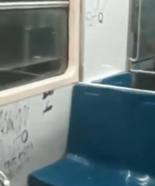 Lady Rayones raya vagón del metro