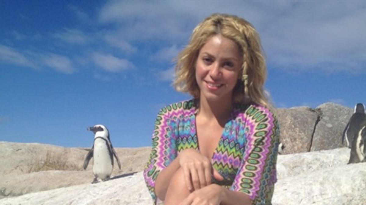 Shakira se prepara para el mundial de Brasil 2014