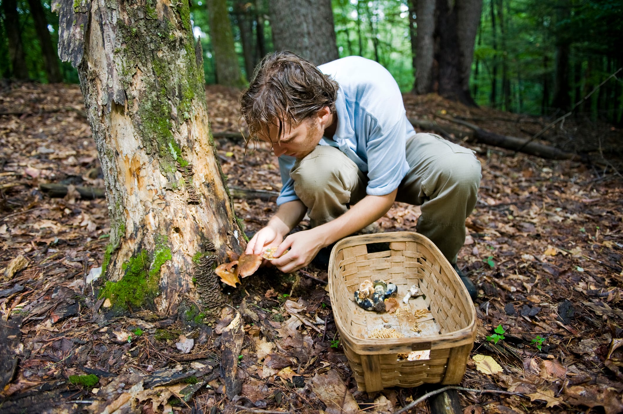 Buscar setas también tiene su manual de instrucciones.