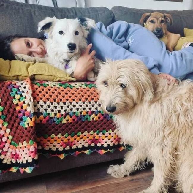 Denise regaloneando a sus perritos. Captura Instagram.