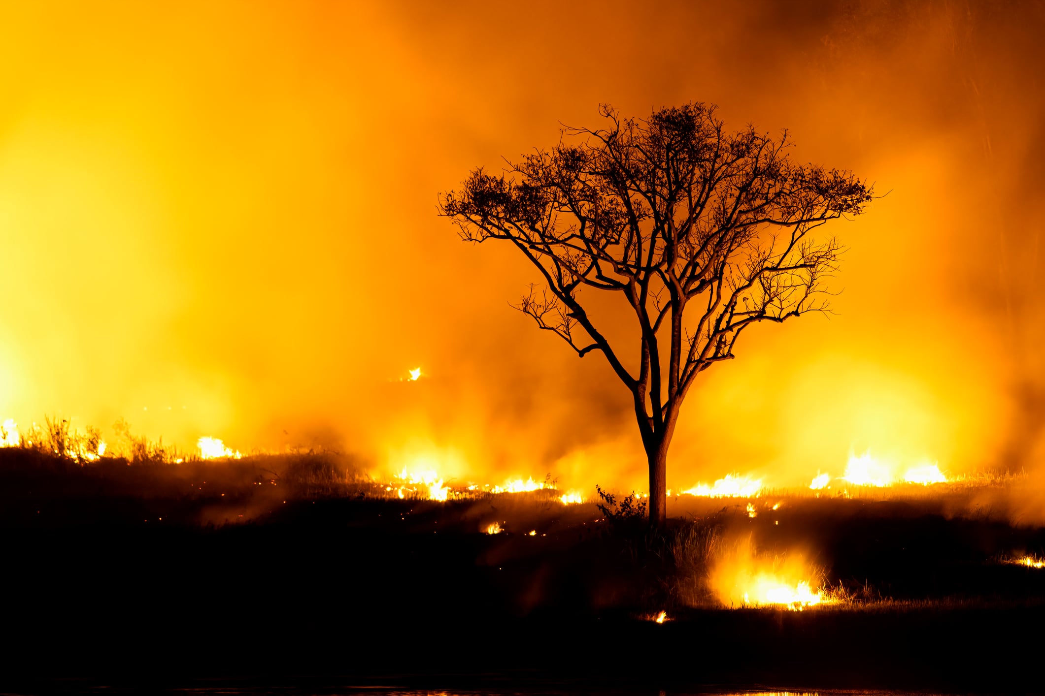 Luchar contra el fuego es una tarea de todo el año.