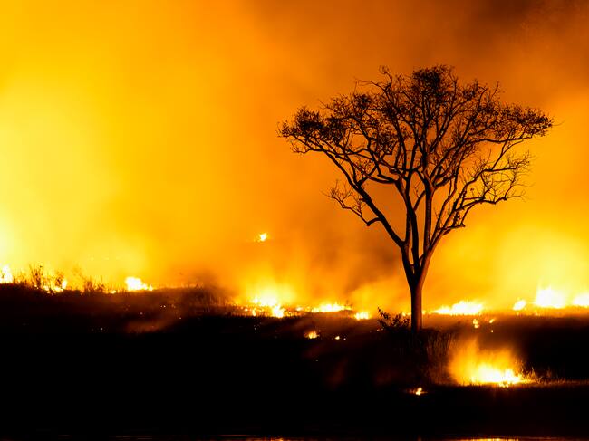 Luchar contra el fuego es una tarea de todo el año.