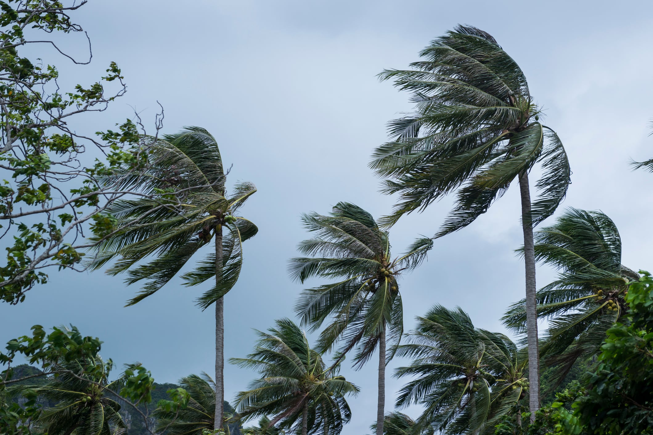 Las consecuencias de los ciclones tropicales son devastadoras.