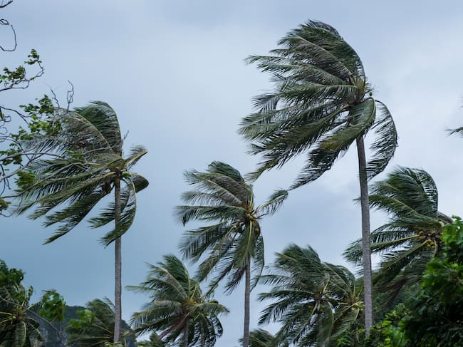 Las consecuencias de los ciclones tropicales son devastadoras.