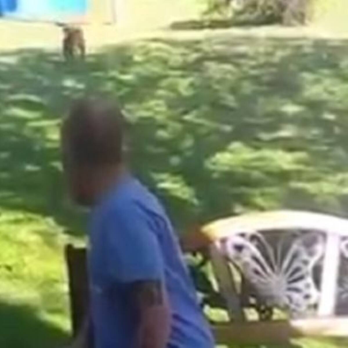 El tierno video del perro que reconoce a su dueño con 25 kilos menos