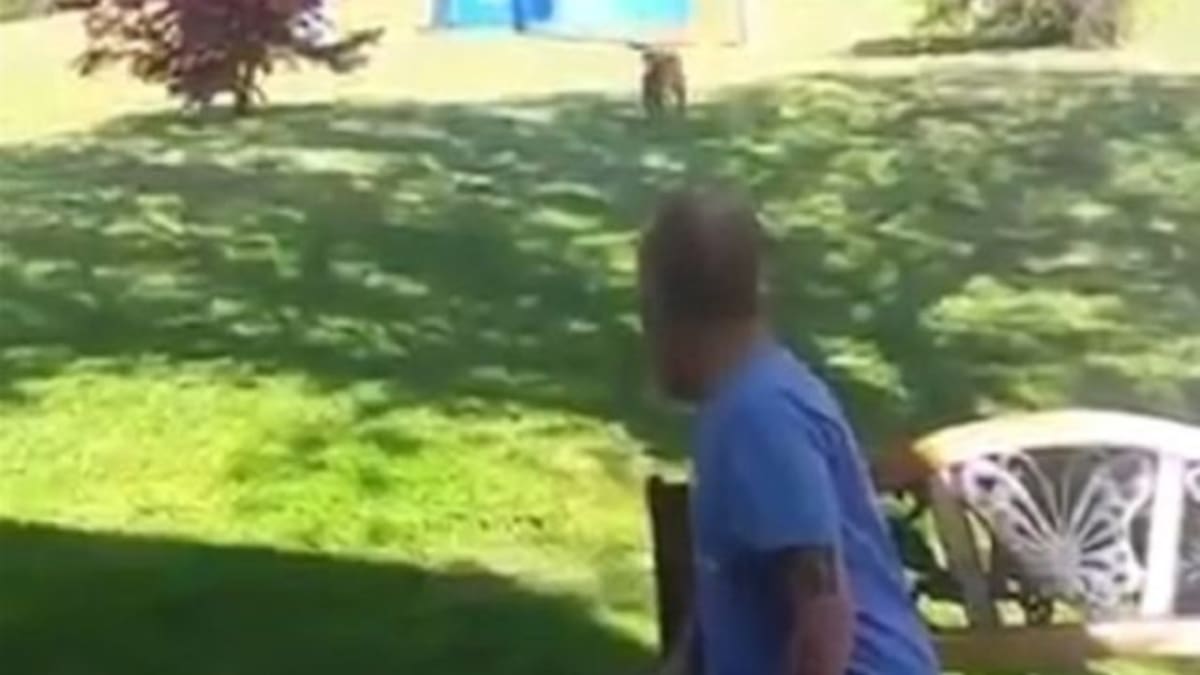 El tierno video del perro que reconoce a su dueño con 25 kilos menos