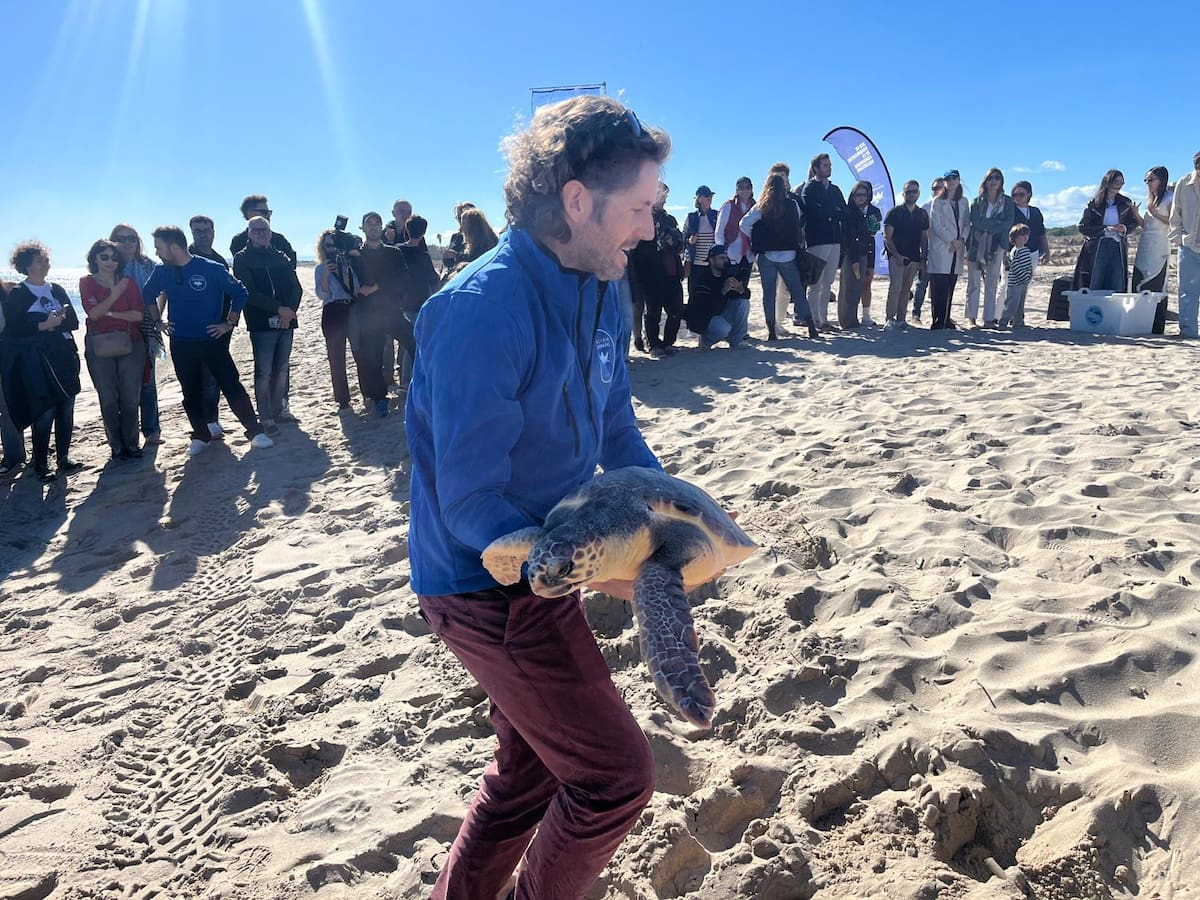 Mar y música se unen en Valencia: artistas de LOS40 devuelven tortugas al Mediterráneo para celebrar la vida