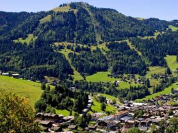 Ecologistas franceses okupan un bosque para impedir su tala