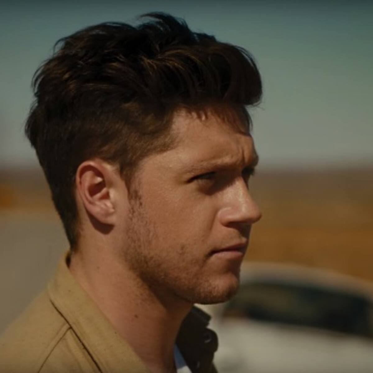 Celebramos a Niall Horan