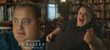 ¿De qué se trata la película ‘La Ballena’? La nueva adquisición de ...