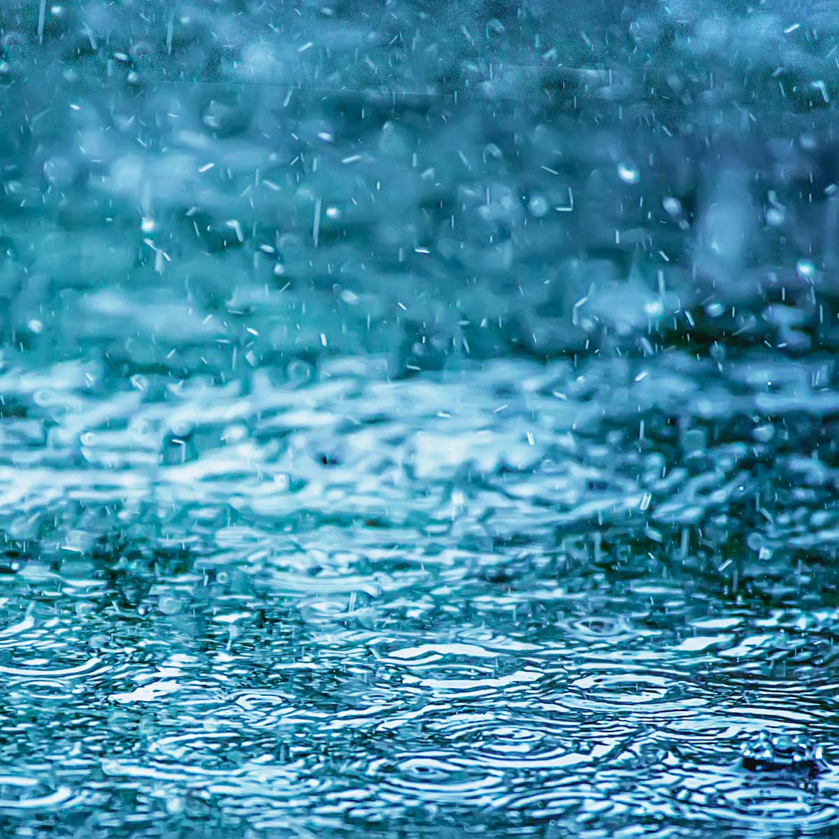 Lluvias y más lluvias: ¿Qué pasa cuando el suelo no puede absorber más agua?