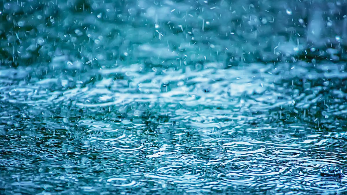 Lluvias y más lluvias: ¿Qué pasa cuando el suelo no puede absorber más agua?