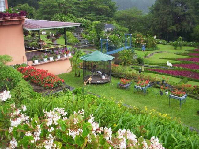Mi Jardín es tu Jardín
