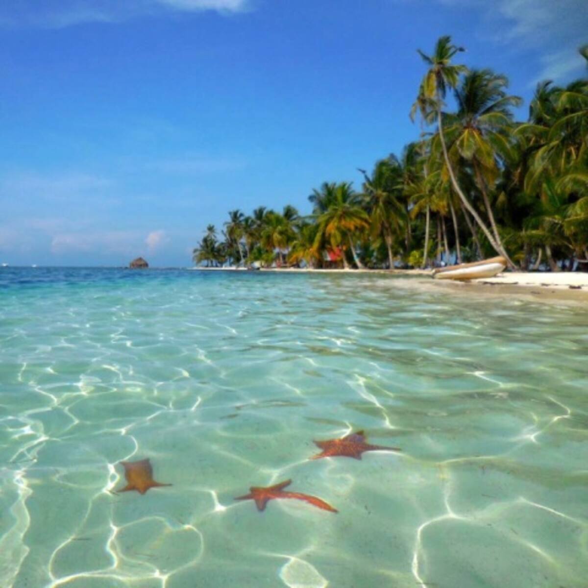 ¡La Magia de San Blas!