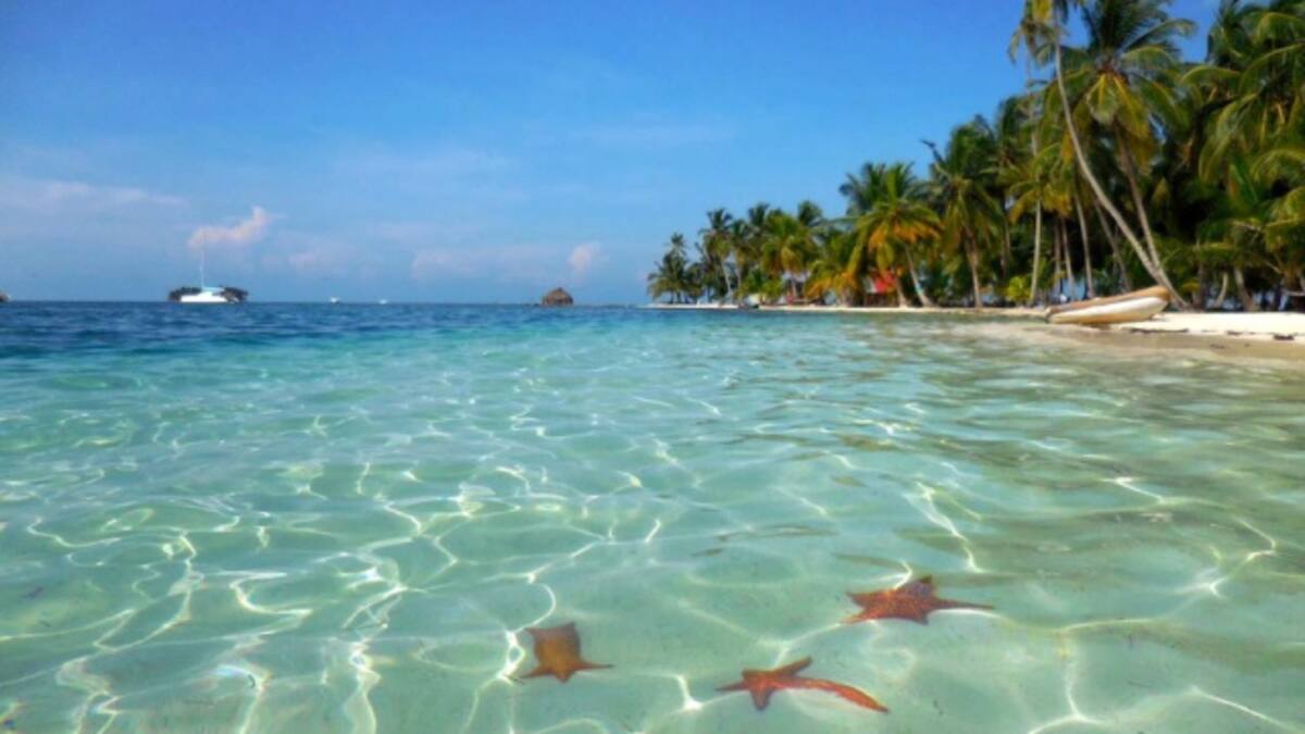 ¡La Magia de San Blas!